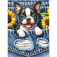 Animal Text Series-AT 2379